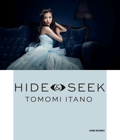 The Theme Preview Image.