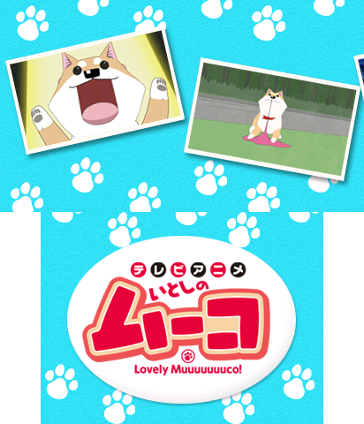 The Theme Preview Image.