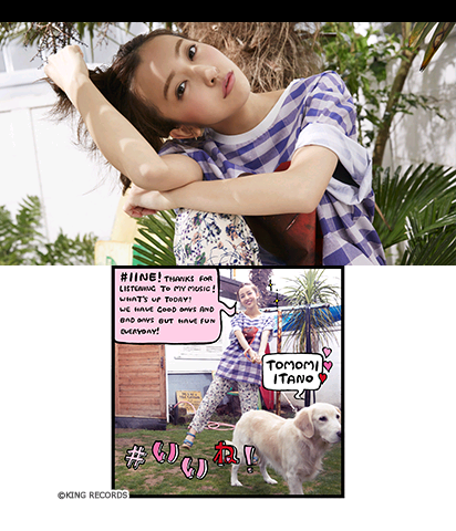 The Theme Preview Image.