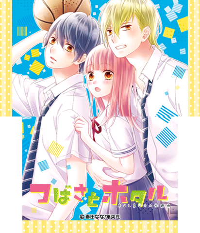 The Theme Preview Image.