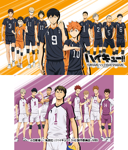 The Theme Preview Image.