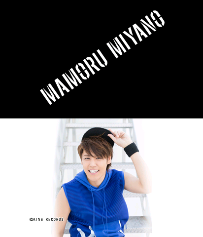 The Theme Preview Image.