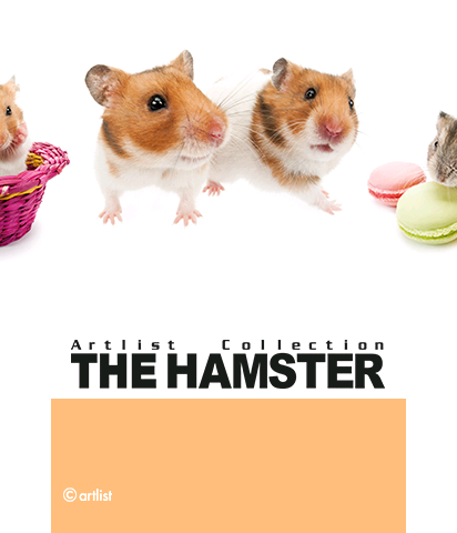 The Theme Preview Image.