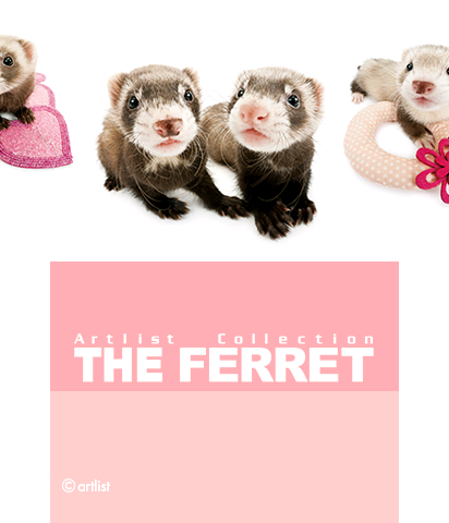 The Theme Preview Image.