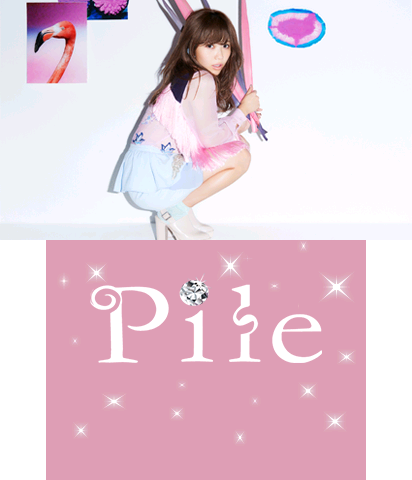 The Theme Preview Image.