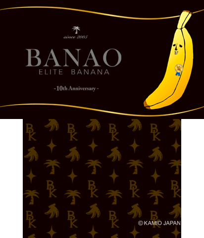 The Theme Preview Image.