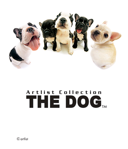 The Theme Preview Image.