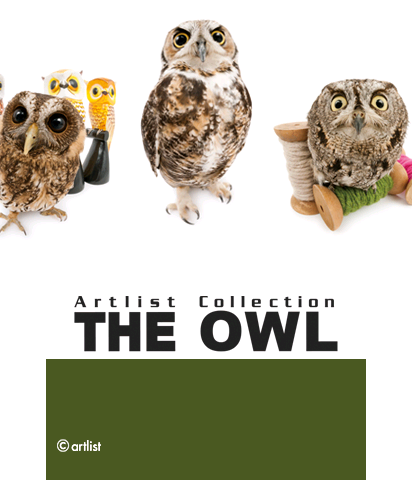 The Theme Preview Image.