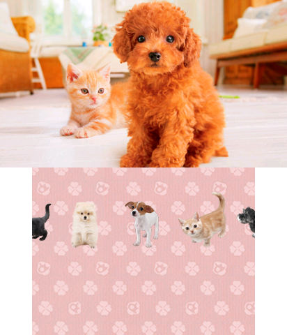 The Theme Preview Image.