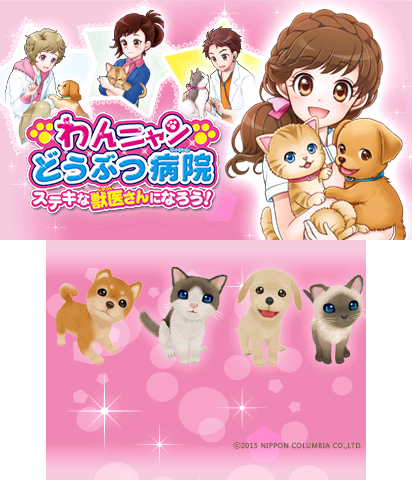 The Theme Preview Image.