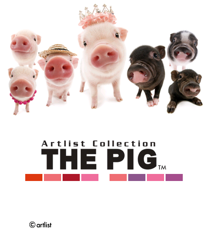 The Theme Preview Image.