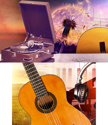 The Theme Preview Image.