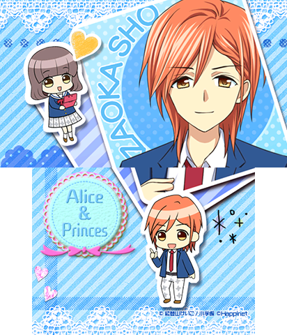 The Theme Preview Image.