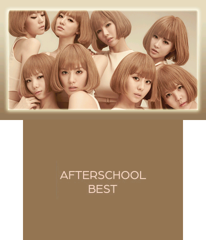 The Theme Preview Image.