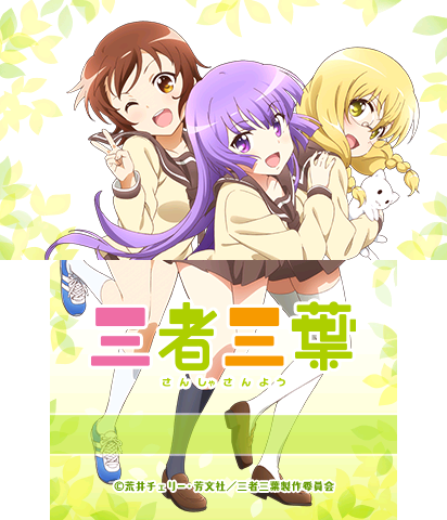 The Theme Preview Image.