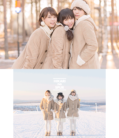 The Theme Preview Image.