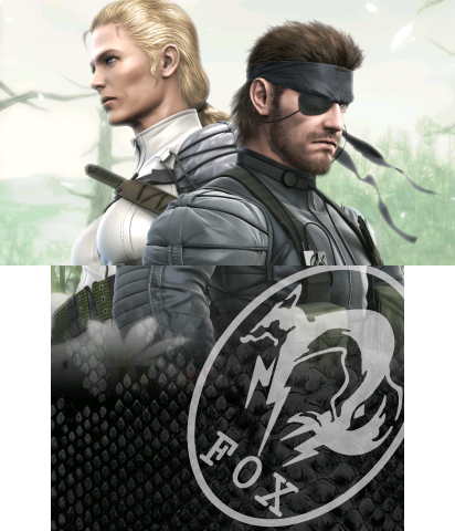 The Theme Preview Image.