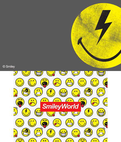 The Theme Preview Image.